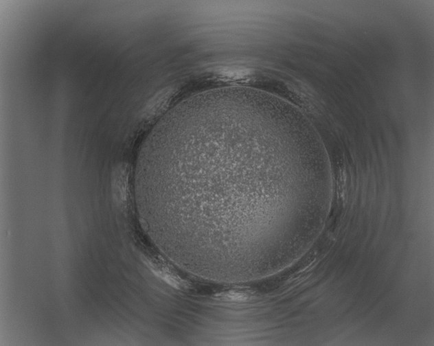 X0000056350412200509021727