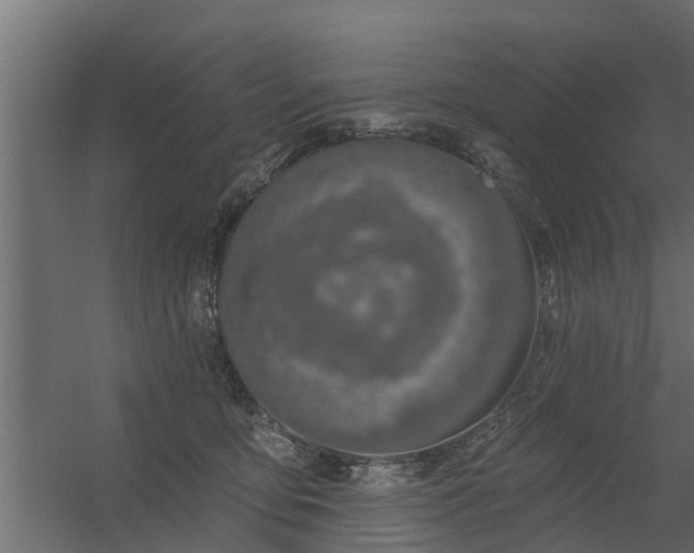 X0000056350419200509021727