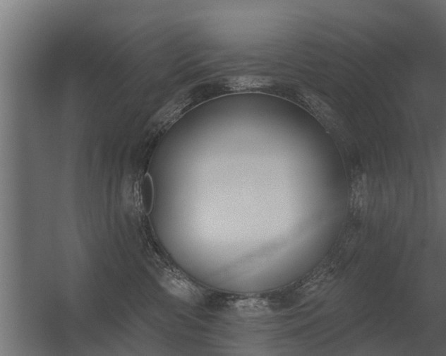 X0000056350426200509021727