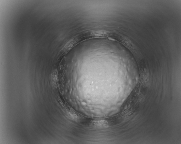 X0000056350427200509021727