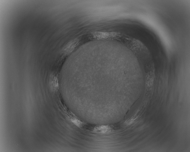 X0000056350431200509021727