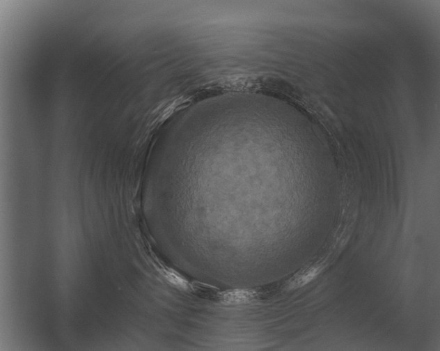 X0000056350432200509021727