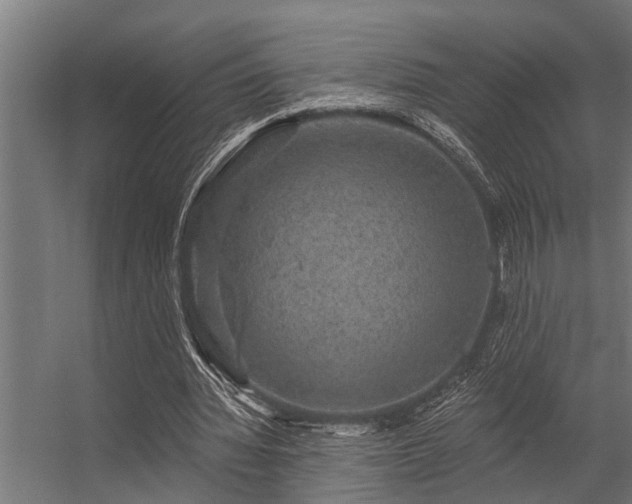 X0000056350436200509021726