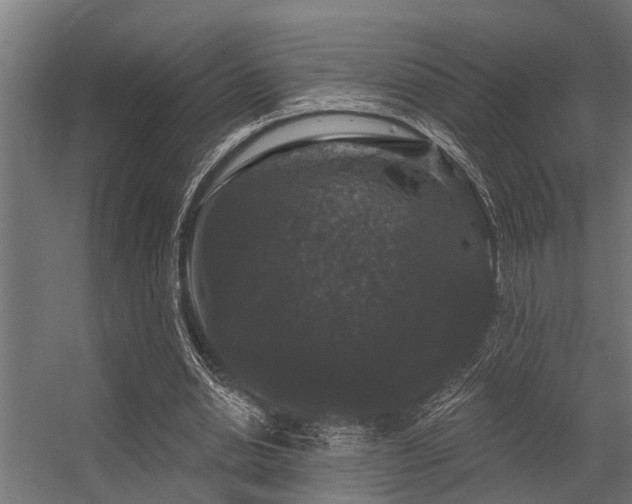 X0000056350438200509021726