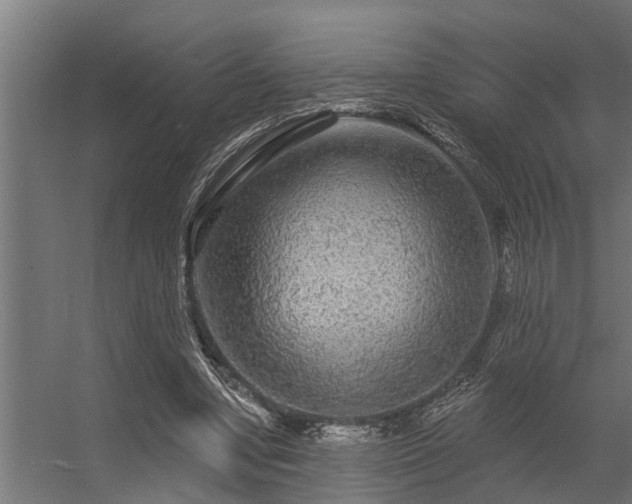 X0000056350442200509021726