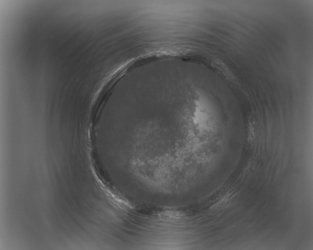 X0000056350444200509021726