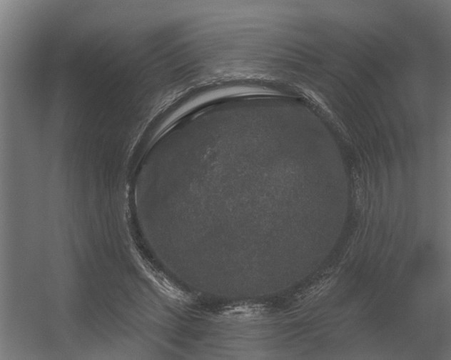 X0000056350447200509021726