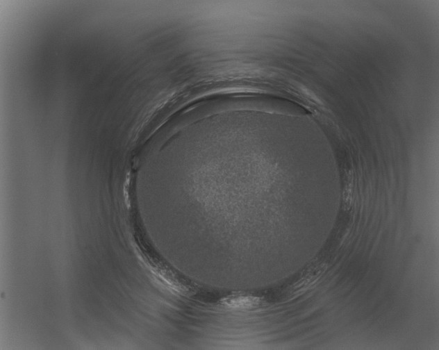 X0000056350452200509021726