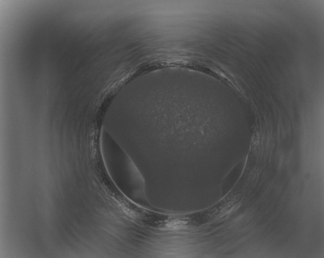 X0000056350462200509021726