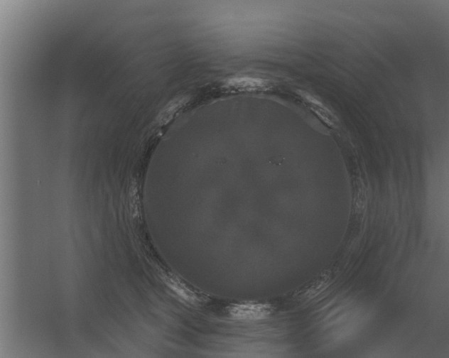 X0000056350465200509021726