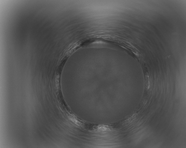 X0000056350475200509021726