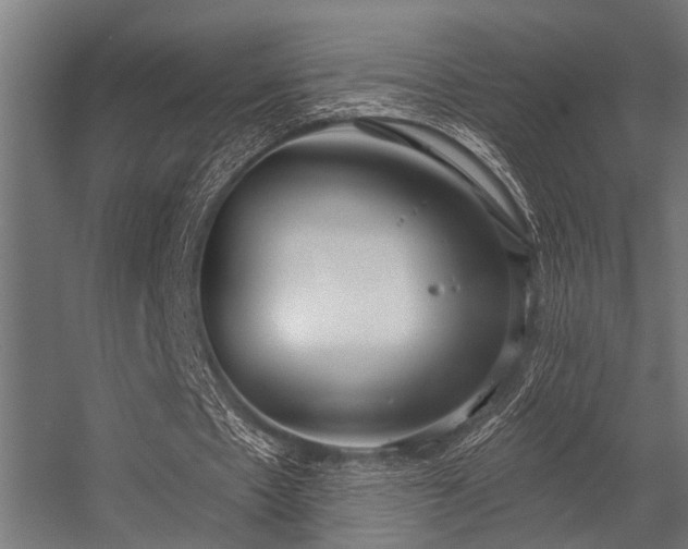 X0000056350481200509021726