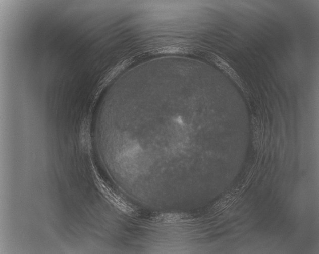 X0000056350482200509021726