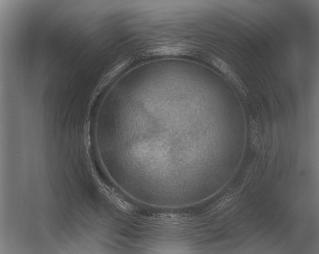 X0000056350486200509021726