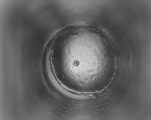 X0000056350487200509021726