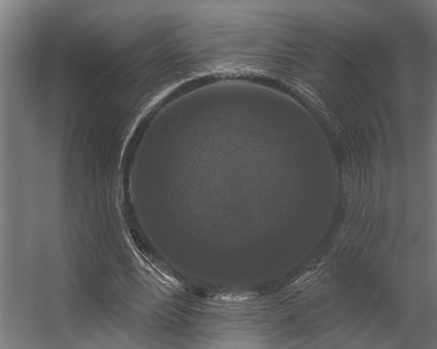 X0000056350488200509021726