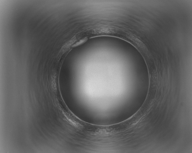 X0000056350489200509021726