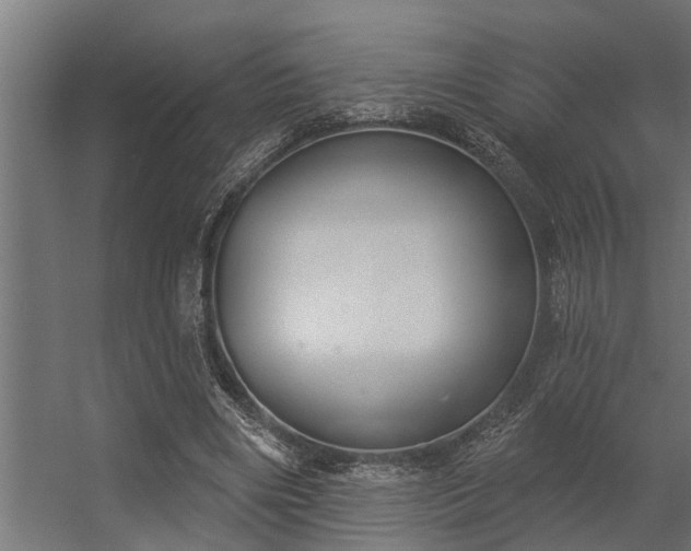 X0000056350490200509021726