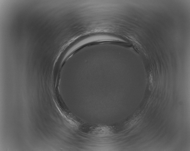 X0000056350492200509021726