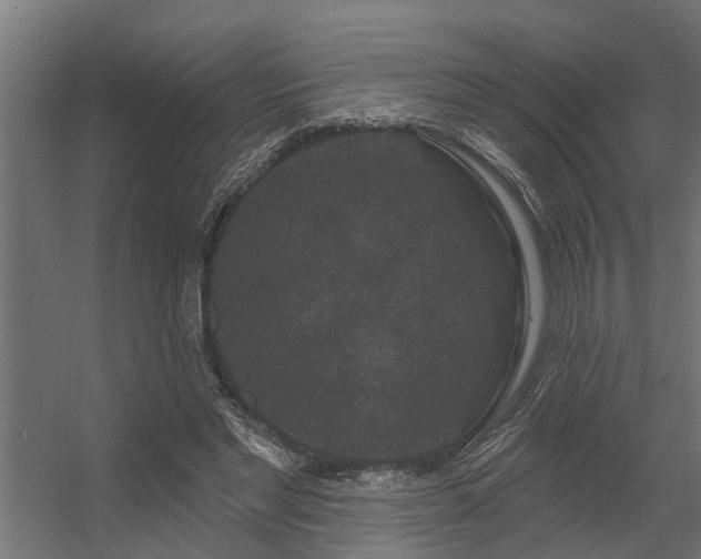 X0000056350493200509021726