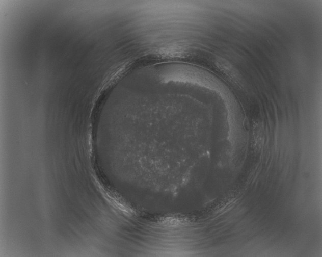 X0000056350494200509021726