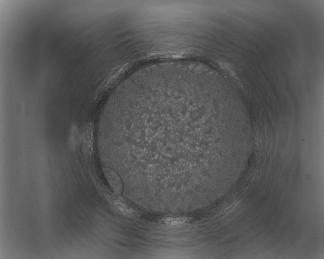 X0000056350495200509021725