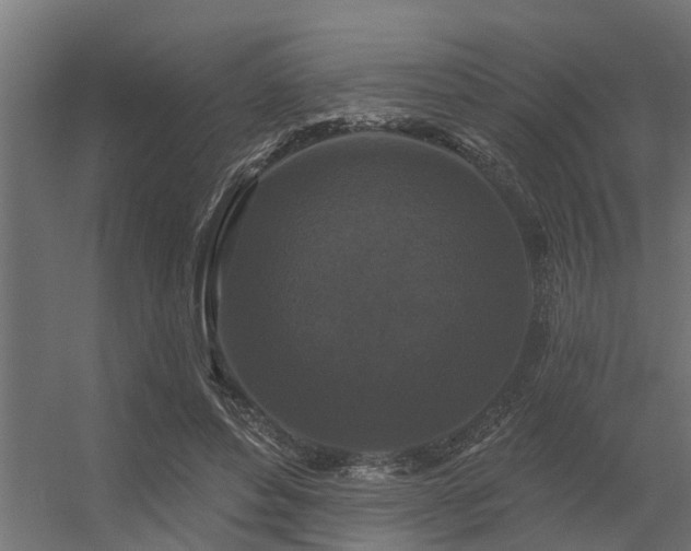 X0000056350496200509021725