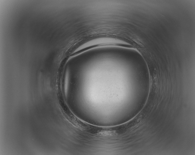 X0000056350499200509021725