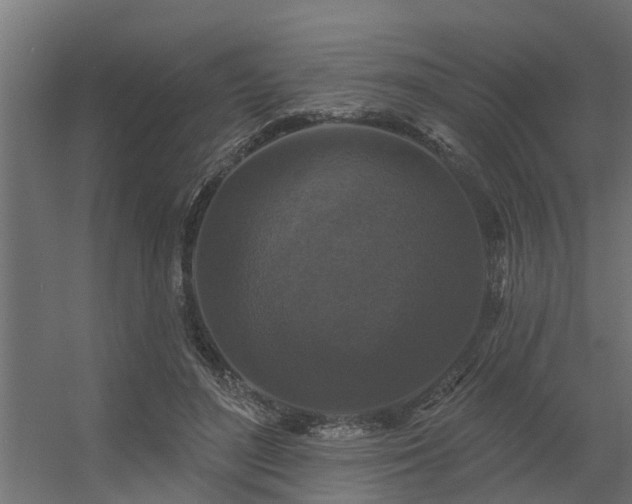 X0000056350500200509021725