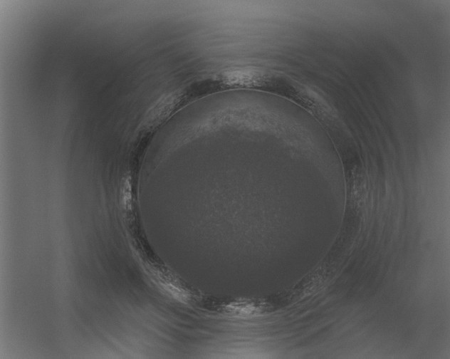 X0000056350502200509021725