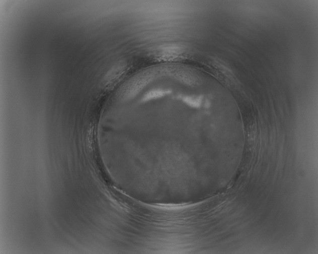 X0000056350503200509021725