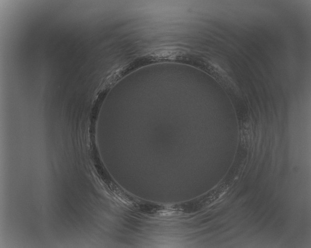 X0000056350504200509021725