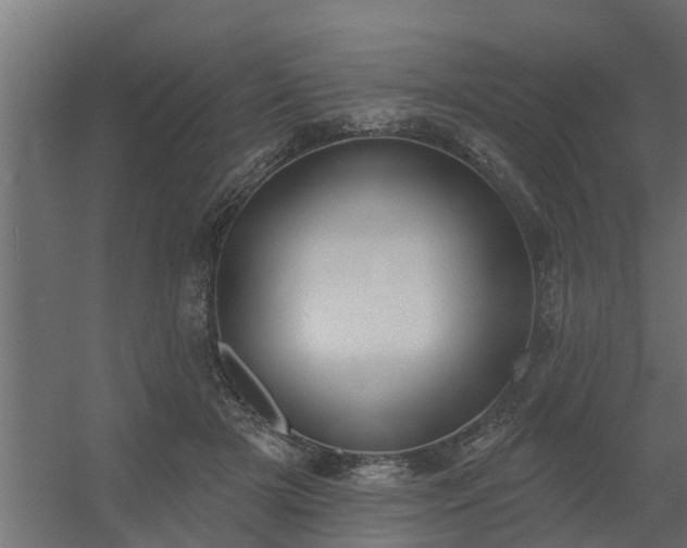 X0000056350505200509021725