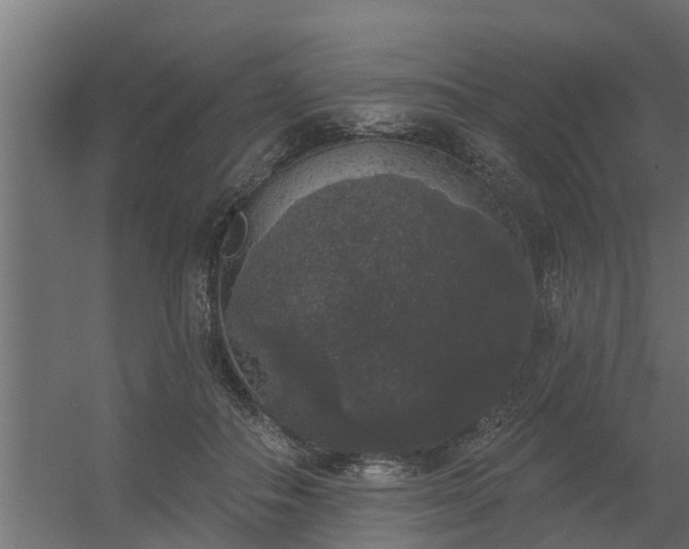 X0000056350506200509021725