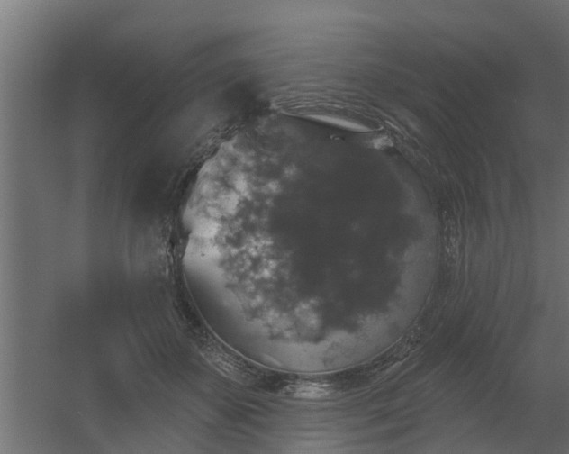 X0000056350507200509021725