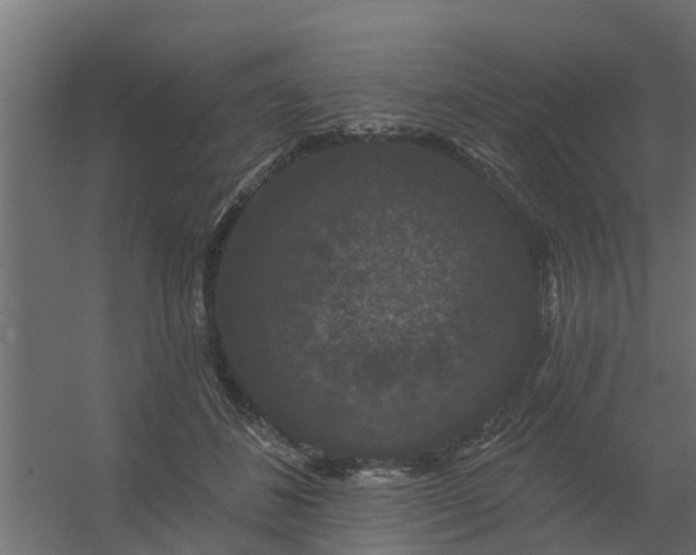 X0000056350508200509021725