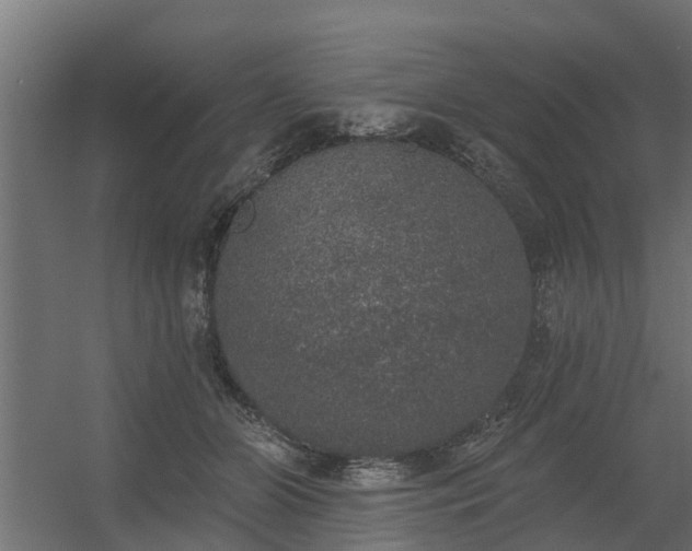 X0000056350510200509021725