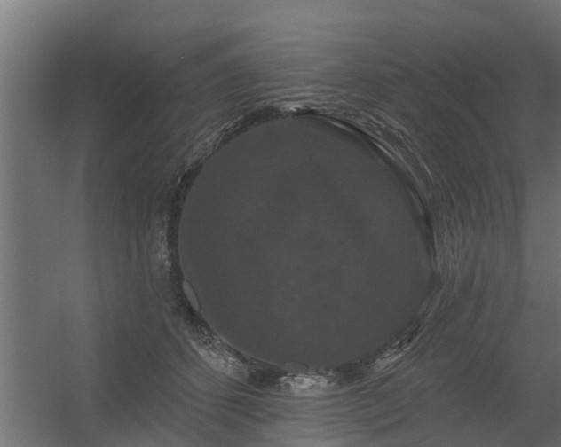 X0000056350512200509021725