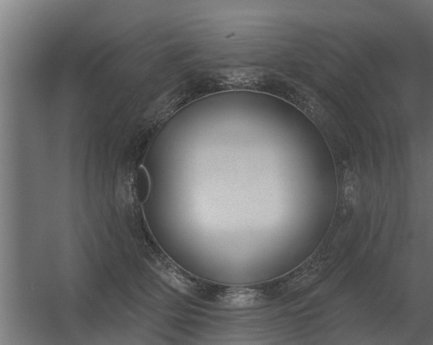 X0000056350514200509021725