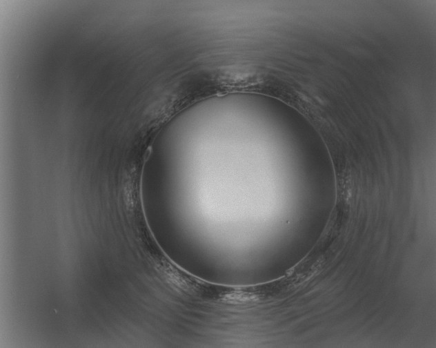 X0000056350515200509021725