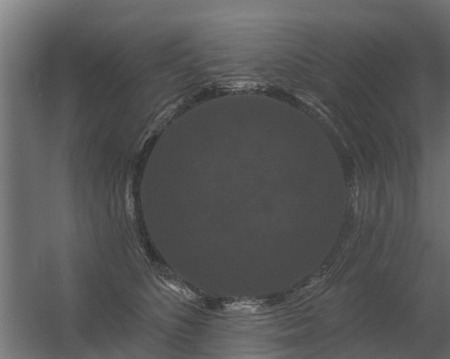 X0000056350516200509021725