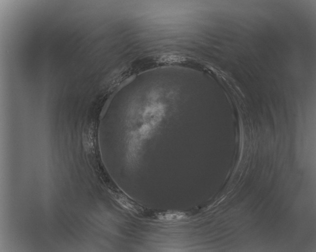 X0000056350517200509021725