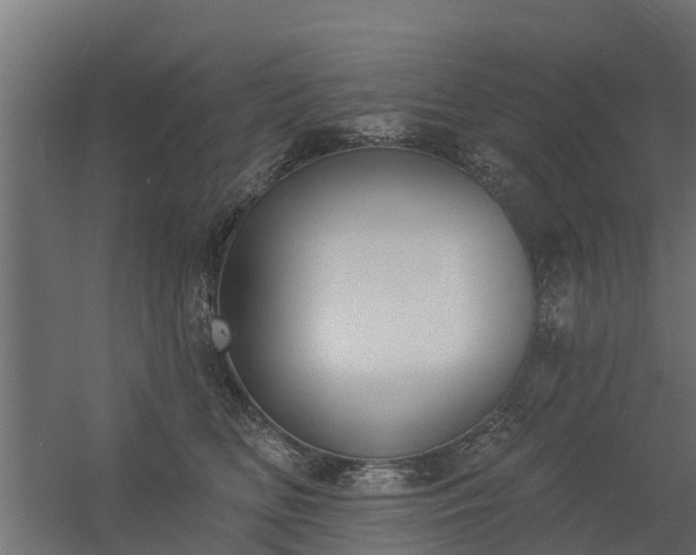 X0000056350518200509021725