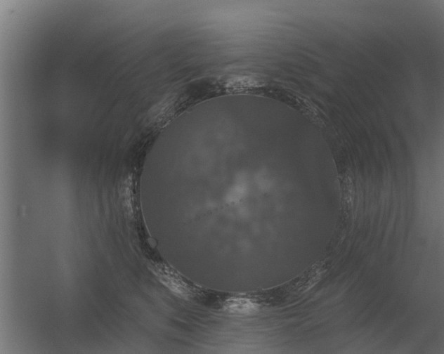 X0000056350519200509021725