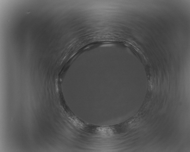 X0000056350520200509021725