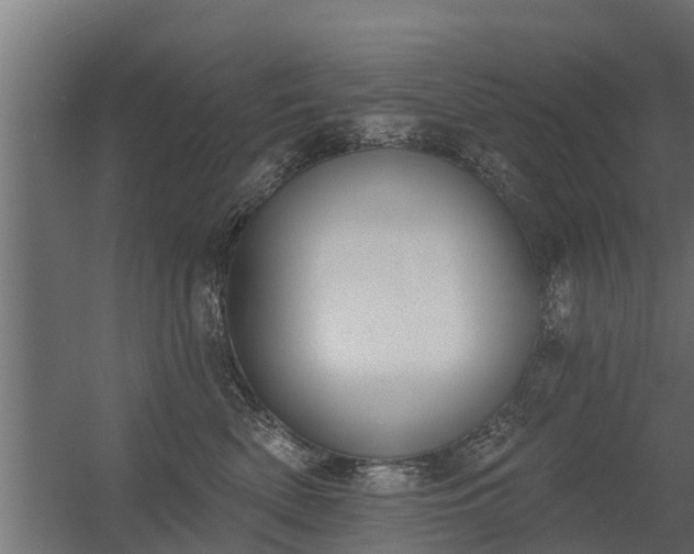 X0000056350522200509021725