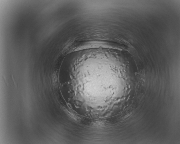 X0000056350523200509021725