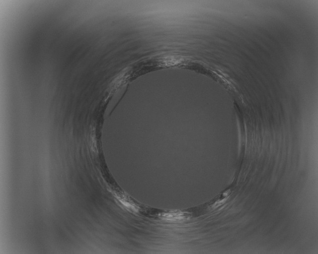 X0000056350524200509021725