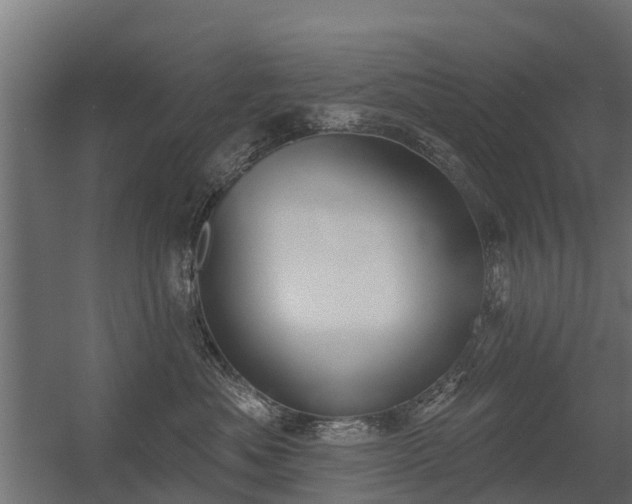 X0000056350525200509021725