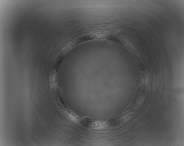 X0000056350526200509021725